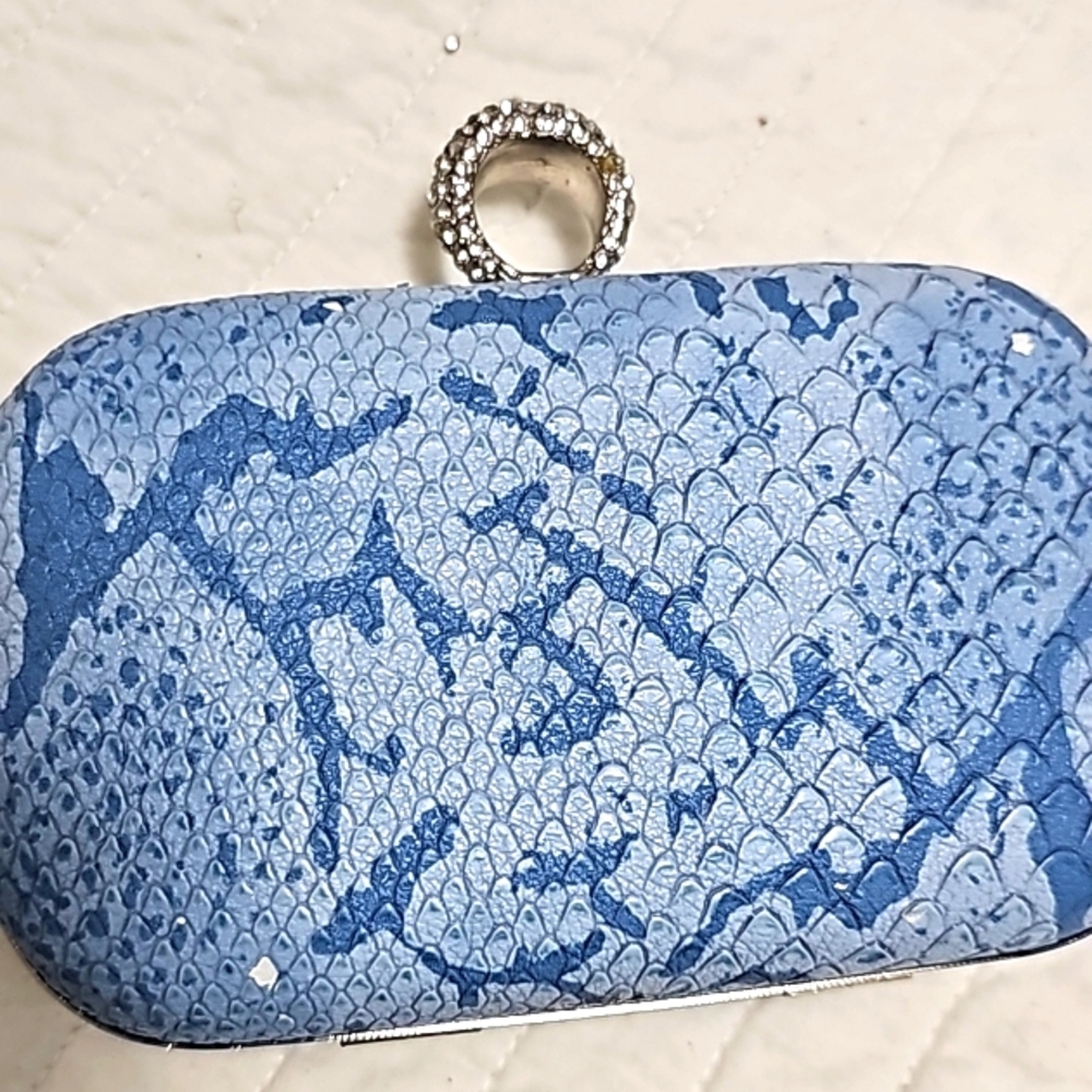 Ring Clutch